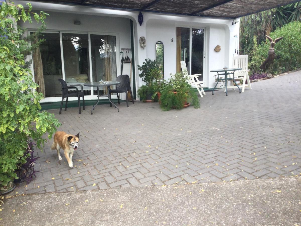 Appartamento El Rio,, La Casita One Of 2 Self Catering Studios. Pool And Hydrotherapy Jacuzzi *